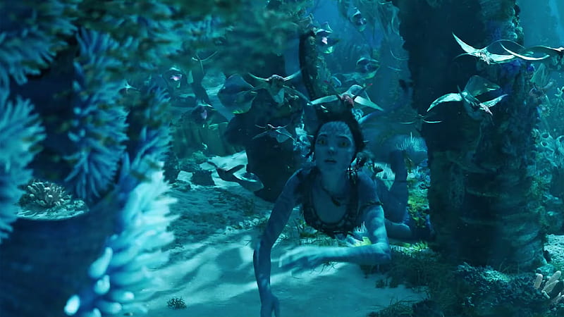Avatar 2: Chào đón đến với thế giới Pandora trong Avatar 2, tác phẩm được mong chờ nhất trong năm nay. Với kỹ xảo vượt trội và câu chuyện phong phú, tác phẩm sẽ mang đến cho khán giả một trải nghiệm đầy kịch tính và tuyệt đẹp. Khán giả sẽ được đắm mình trong thế giới của những sinh vật độc đáo và các nhân vật chính để khám phá tất cả những điều mới lạ và thú vị nhất.