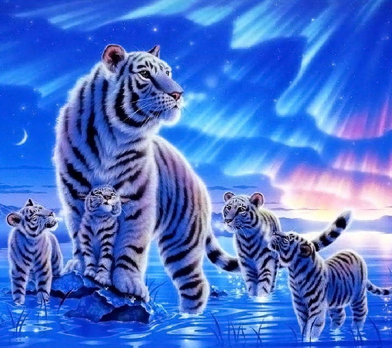 family, white, tigers, winter, HD wallpaper
