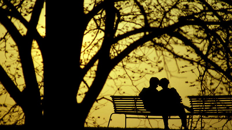 Twilight in the park, romantic, bench seats, park, twilight, silhouette, trees, couple, HD wallpaper