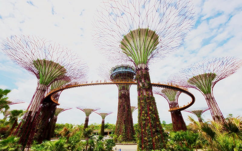 Gardens Singapore-Architectural landscape, HD wallpaper