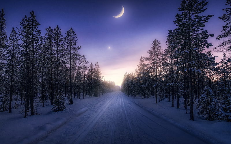 Winter Night Road, winter, forest, Moon, road, trees, night, star, HD  wallpaper | Peakpx