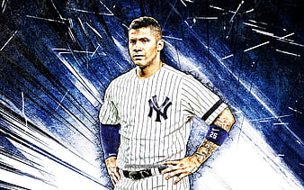 Player Baseball Gleybertorres Gleyber Torres Gleyber Torres New York  Yankees Newyorkyankees Venezuel Art Print