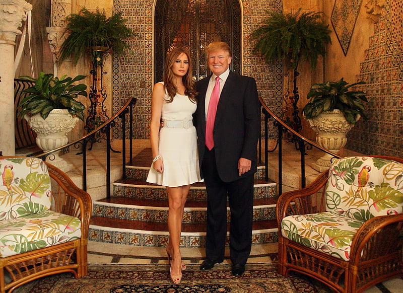Donald Trump Melania Trump, president, white house, election, election2016, HD wallpaper