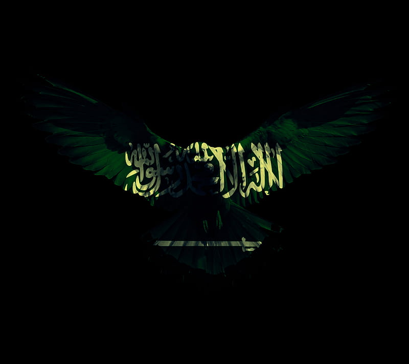 Falcon KSA, saudi arabia, HD wallpaper