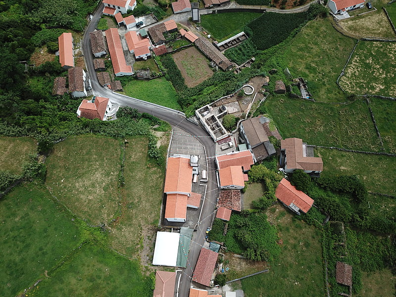 aerial view of buildings near rice field, HD wallpaper