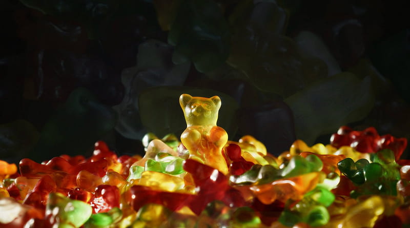 gummy bears, bear, ummy, wp, food, HD wallpaper