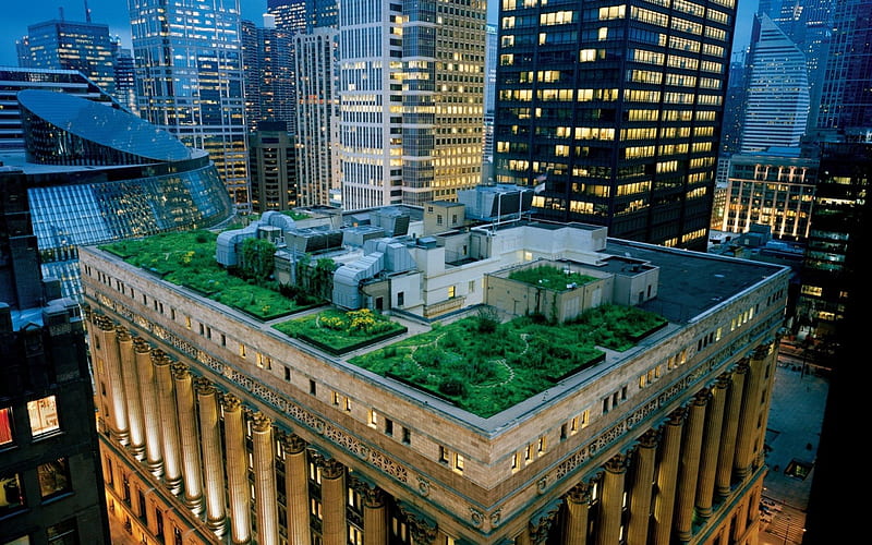 rooftop garden, garden, city, green, skyscrapers, HD wallpaper