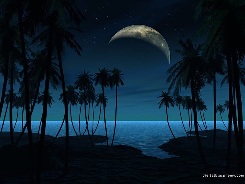 1920x1080px 1080p Free Download A Moony Night Qewr Erwq Werwq Erwqe Hd Wallpaper Peakpx 3334