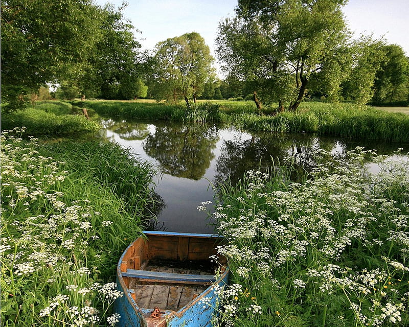 Last day of May, pond, flowers, boat, HD wallpaper | Peakpx