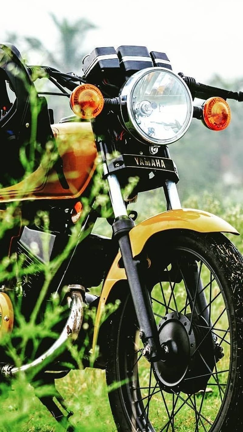Rx100, Greenery Background, yamaha, bike, HD phone wallpaper
