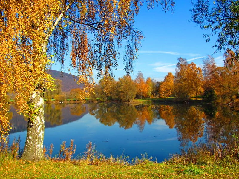 Autumn lake, fall, autumn, shore, falling, birch, bonito, foliage, leaves, nice, calm, season, tranquility, quiet, lovely, sky, trees, lake, water, serenity, nature, HD wallpaper