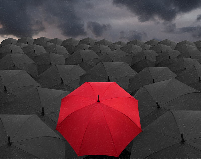 Red & Black, umbrella, colors, black, red, HD wallpaper | Peakpx