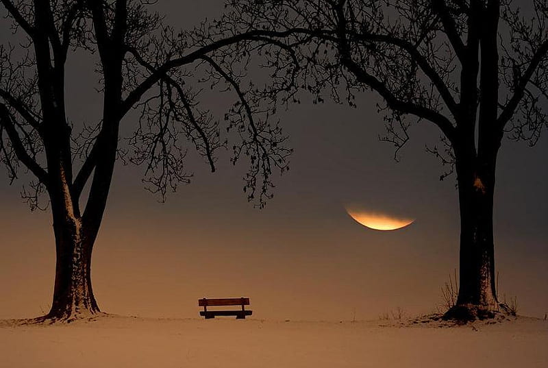A PLACE OF SILENCE, stillness, sun, seat, snow, sunset, trees, HD wallpaper