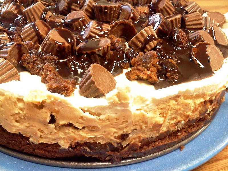 Peanut Butter Buckeye Brownie Cheesecake, brownie, creamcheese, chocolate, cheesecake, abstract, peanutbutter, dessert, reeses, bakery, buckeye, HD wallpaper