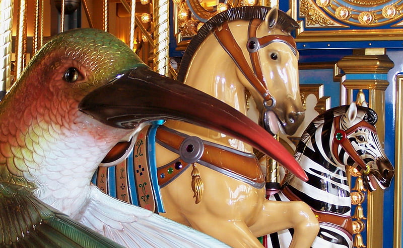 A Carousel Race!, architecture, lakeside shopping mall, stairs, michigan, hummingbird, dragon, orange and white tigers, merry go rounds, american bald eagle, hare, zebra, carouse1, sterling heights, rabbit, golden, cat, horse, double decker, fow1, anima1, amusement park, bird, carousel, pony, HD wallpaper