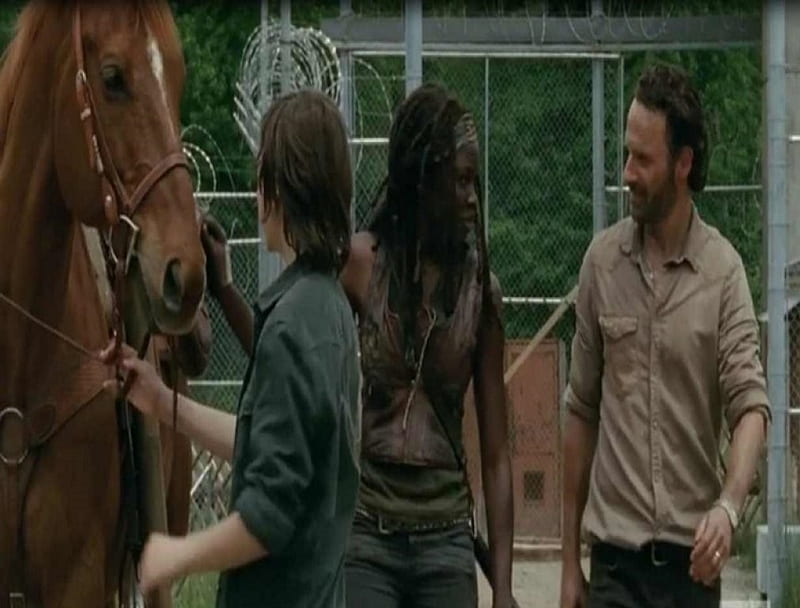 Rick, Carl, & Michonne, Michonne, Rick Grimes, TV series, entertainment, The Walking Dead, Carl, horse, animal, HD wallpaper