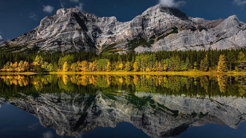 Yellow Green Autumn Fall Trees Mountain Background Reflection On River ...
