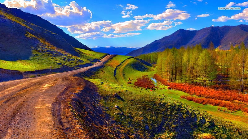 Clear Blue Sky over Mountain Road in Autumn, autumn, roads, mountains, nature, trees, sky, HD wallpaper