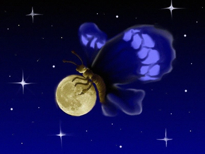 Butterfly Nights, art, stars, planet, blue sky, large blue butterfly, night, HD wallpaper