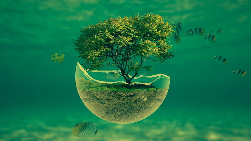 The tree, underwater, tree, fantasy, green, fish, summer, creative, HD wallpaper