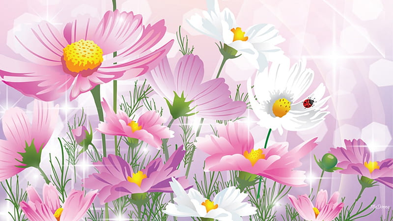 Wildflowers Pink, stars, shine, cosmo, spring, sparkle, daisies, ladybug, wildflowers, summer, lady bug, pink, HD wallpaper