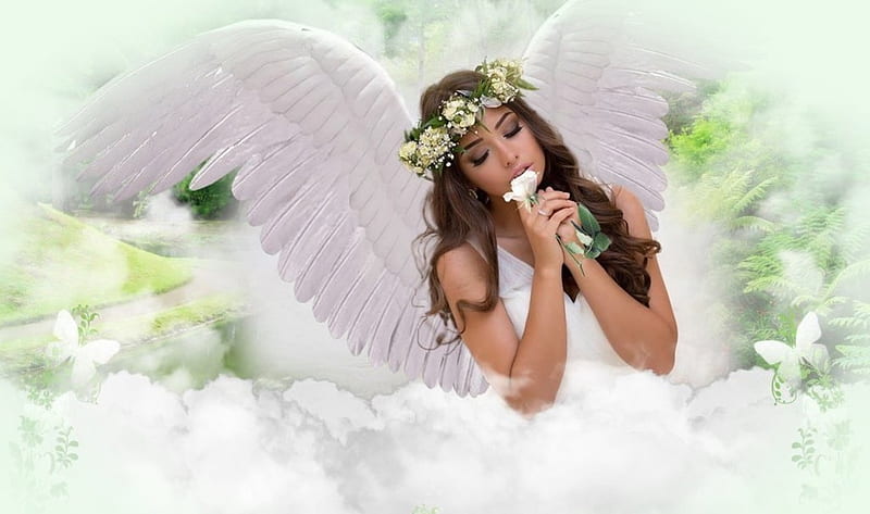 ⊱ Learn To Give Without Any Reason ⊰, curls, Angel, Brunette, Clouds, White, Girl, Wings, Flower, HD wallpaper