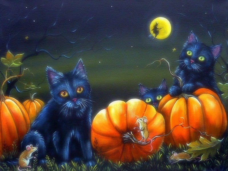 Pumpkin Patch, moons, witch, fall season, autumn, holiday, halloween, love four seasons, black cats, paintings, cats, animals, pumpkins, HD wallpaper