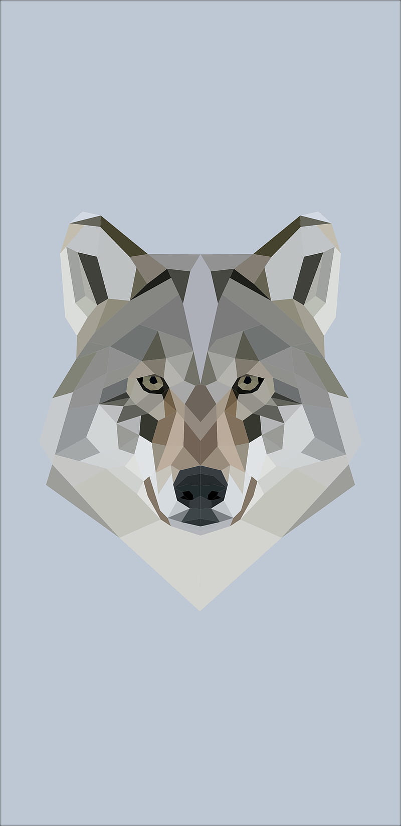 wolf, abstract, facet, shapes, vectorart, HD phone wallpaper