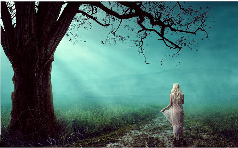 Unknown Path, path, tree, fantasy, woman, HD wallpaper