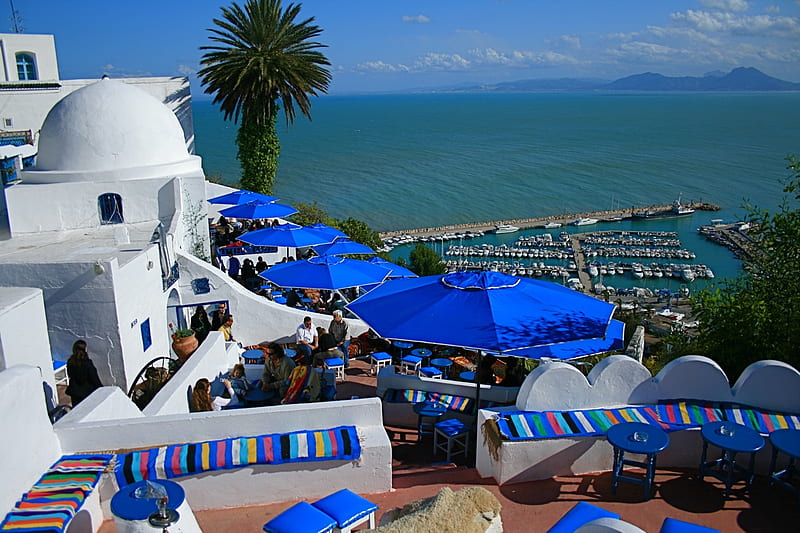Cafe Sidi BouSaid Tunisia, tunisie, tunisia, meditrraneo, africa, mediterranian sea, HD wallpaper