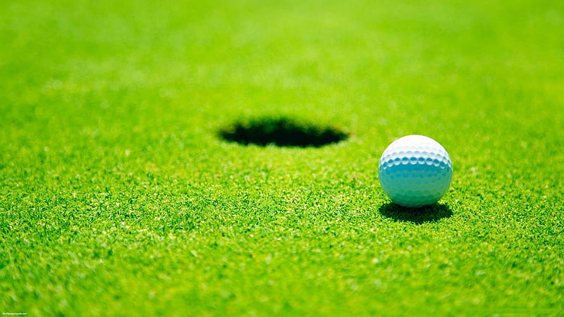 Grass golf-sport theme graphy, HD wallpaper