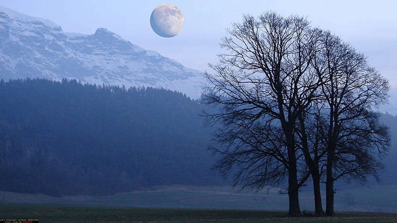 Morgendämmerung-Frühling, Baum, Natur, Mond, Berge, HD wallpaper
