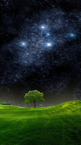 Night sky, field, grass, moon, nature, new, nice, stars, tree, HD wallpaper  | Peakpx