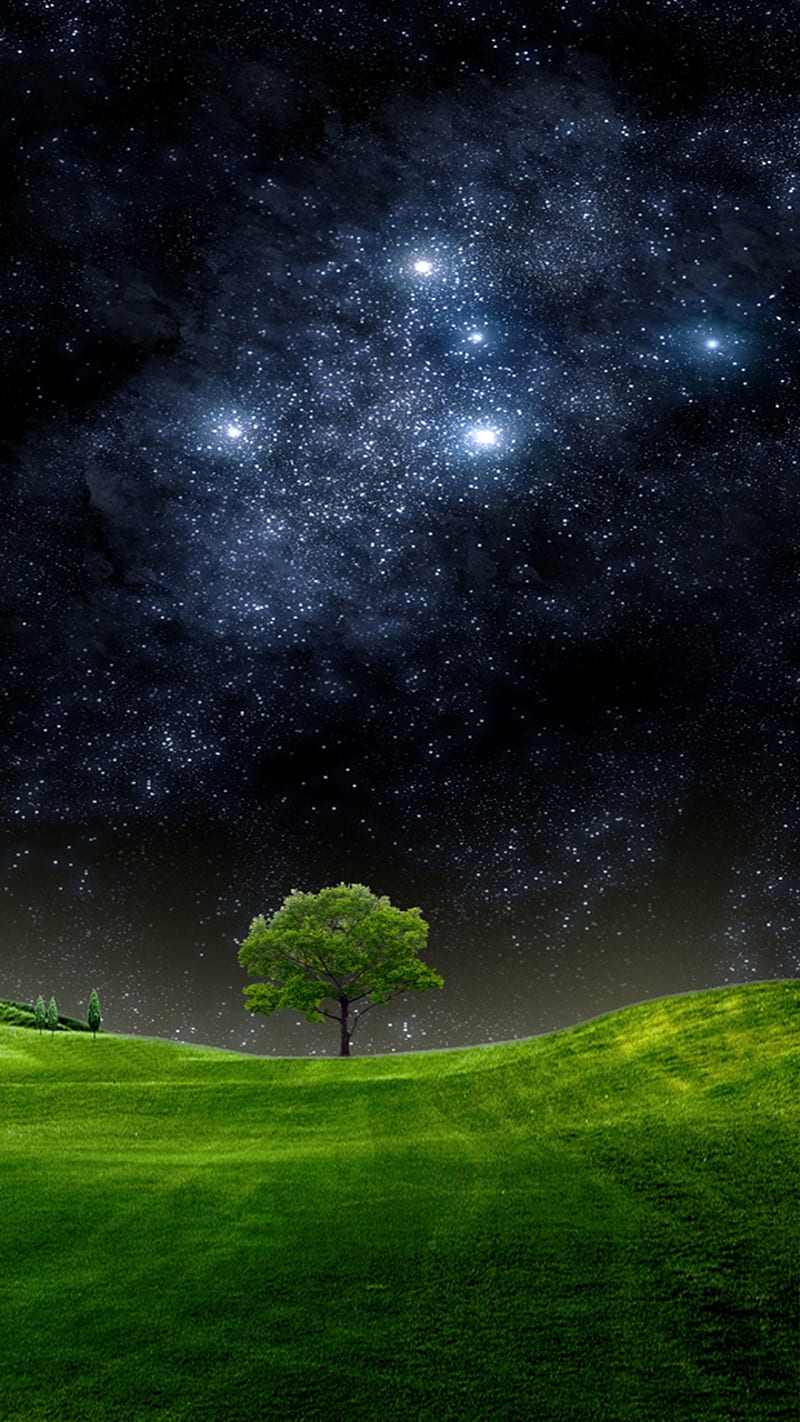 Night, field, natural, nature, new, nice, sky, stars, tree, HD phone  wallpaper | Peakpx