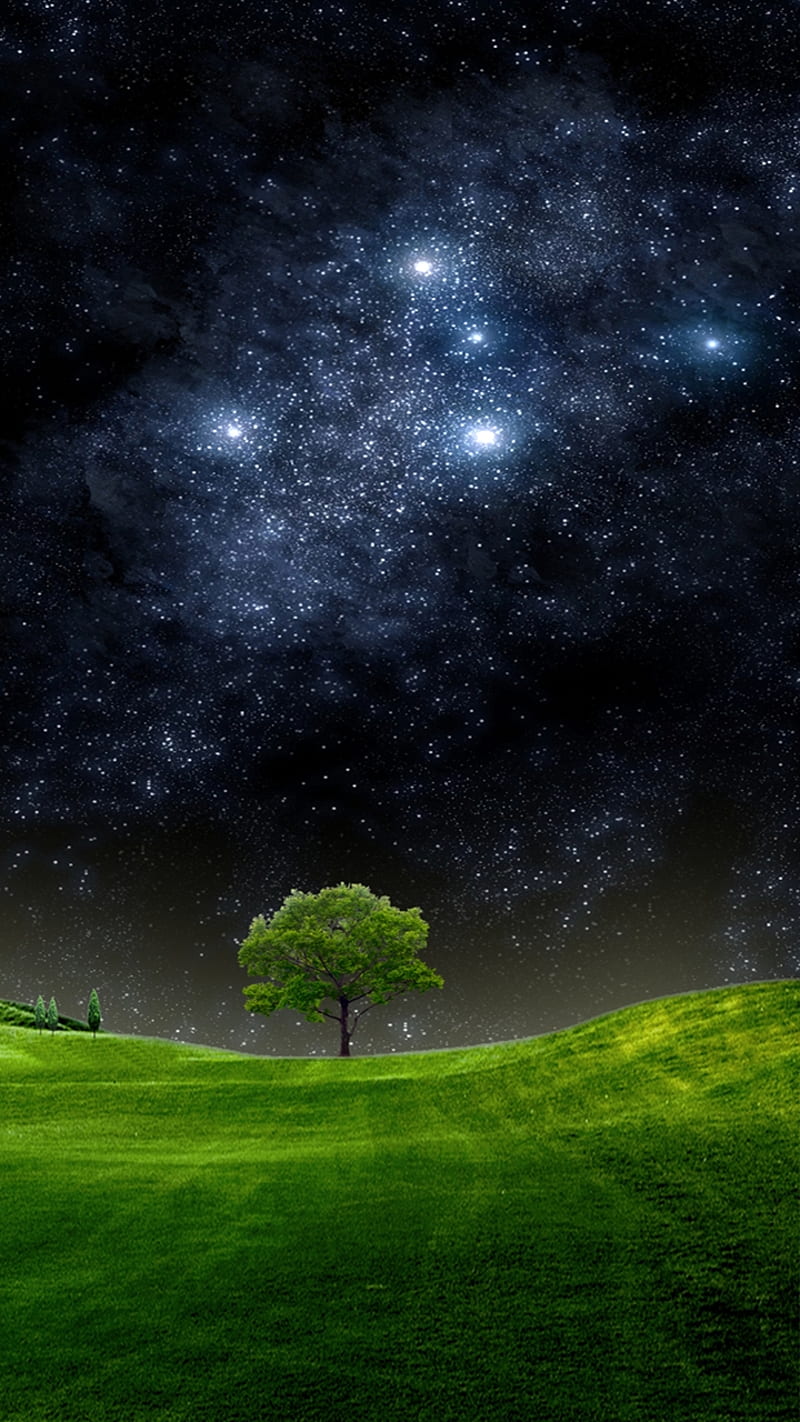 RANDOM PHONE WALLPAPER  Night sky wallpaper, Nature wallpaper