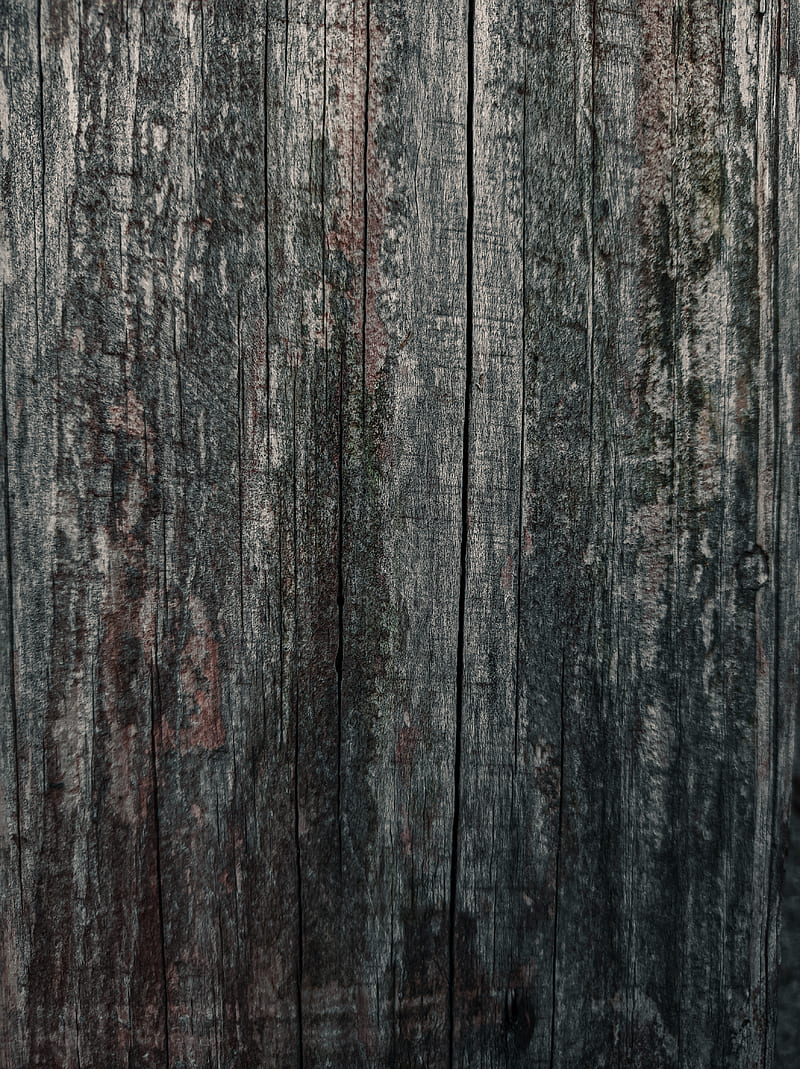 Wood grain, brown, rustic, texture, wall, HD phone wallpaper | Peakpx