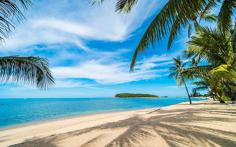 palms, beach, tropical island, palm leaves, resort, relax, summer, ocean, blue lagoon, HD wallpaper