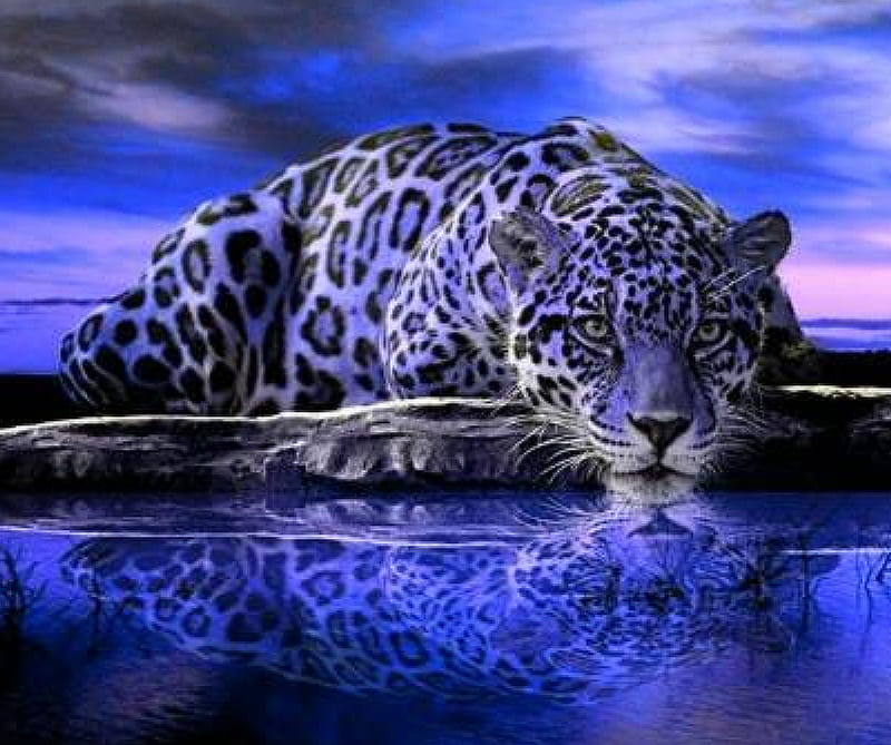 Purple Jaguar, abstract, animals, big cats, HD wallpaper | Peakpx