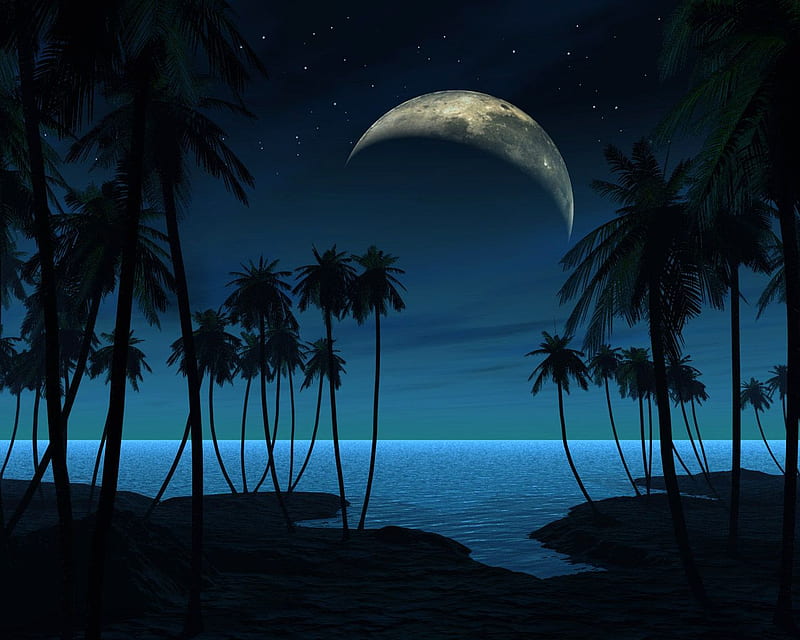 The Night Beach, beach, tree, the, mond, blue, night, HD wallpaper