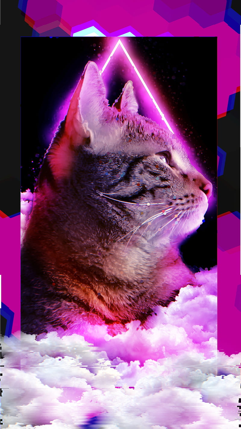Neon Cat, Animals, Frame, Galaxy, Glow, Kat, Kitten, Purple, Triagle, HD phone wallpaper