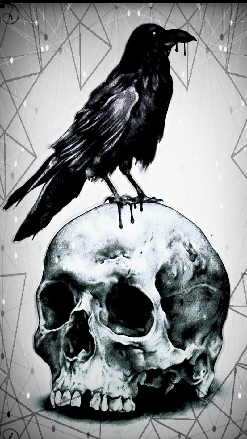 Crow n Skull, black, crow, crows, dark, goth, raven, skeleton, skull, skulls, white, HD phone wallpaper
