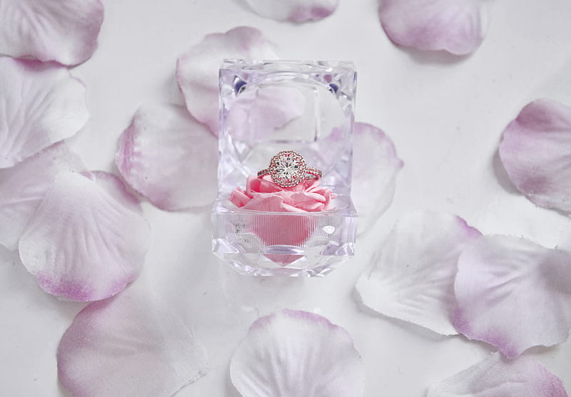 clear glass perfume bottle on pink flower petals, HD wallpaper