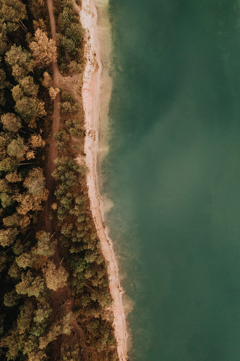 coast, forest, sea, aerial view, trees, HD phone wallpaper