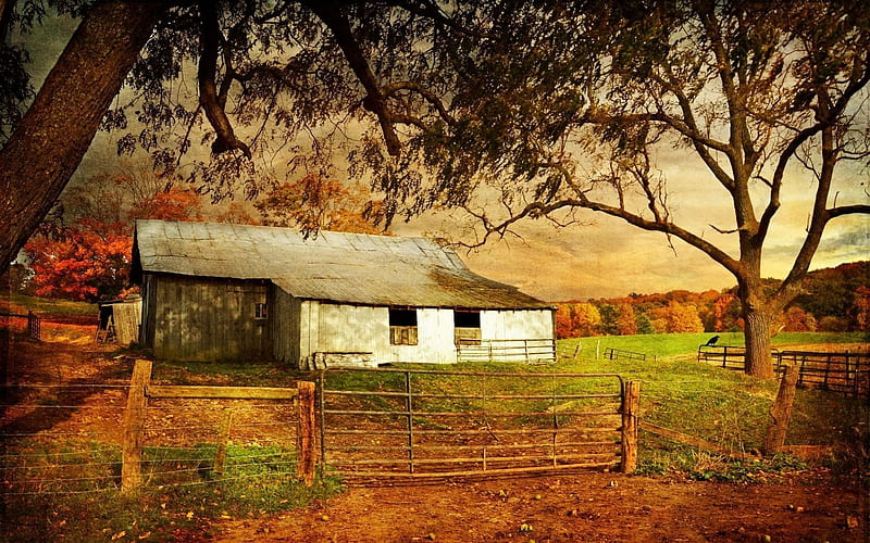trees, old farm, fence, HD wallpaper