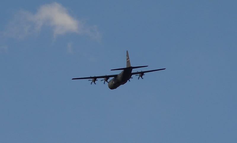 C-130 Flying High, military cargo plane, aircraft, plane, C-130, HD wallpaper
