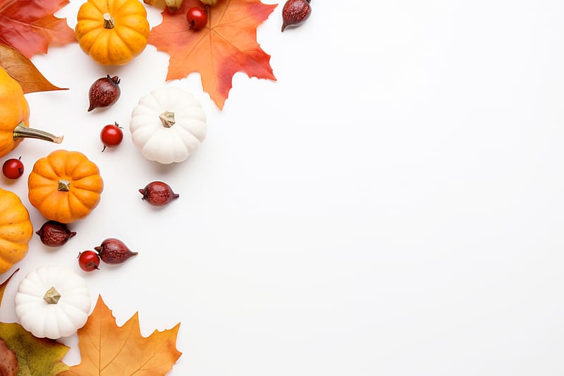 pumpkins, rose hips, berries, maple leaf, autumn, white background, HD wallpaper