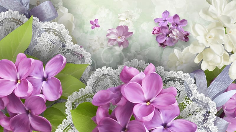 Flowers, Lilac, Flower, Artistic, White Flower, Purple Flower, HD ...