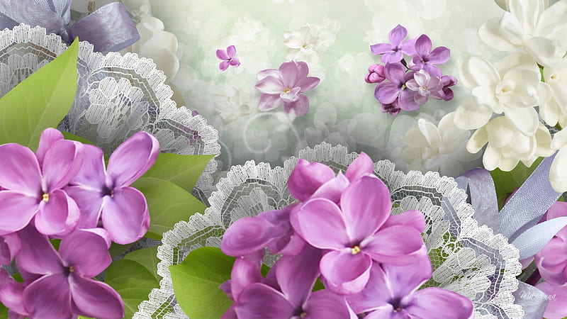 Spring Lace, lace, plumeria, spring, lavender, dainty, ribbons, delicate, lilacs, frangipani, feminine, Firefox Persona theme, HD wallpaper