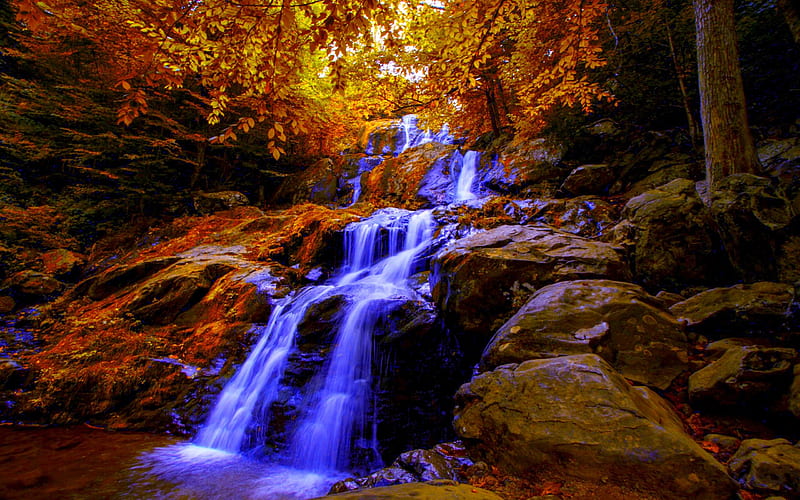 AUTUMN FALLS, rocks, Shenandoah National Park, waterfall, Virginia USA, nature, Autumn, river stream, HD wallpaper