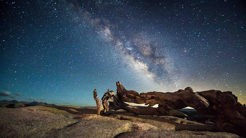 Blue Milky Way Galaxy Night Desert Wood Preview, HD wallpaper